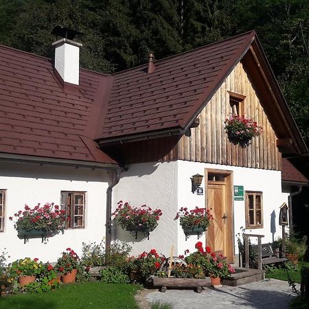 Ferienhaus Lenzau Strohmarkt Εξωτερικό φωτογραφία