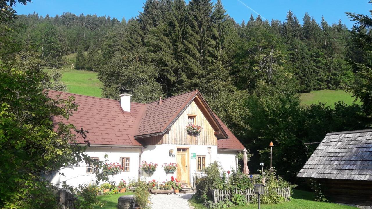 Ferienhaus Lenzau Strohmarkt Εξωτερικό φωτογραφία